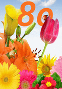 80 ans fleuris sous un ciel &eacute;clatant